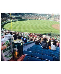 甲子園⚾︎ | その他