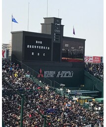 第89回選抜高等学校野球大会⚾︎ | その他