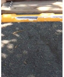 next | Tシャツ/カットソー