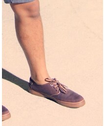 LACOSTE | スニーカー