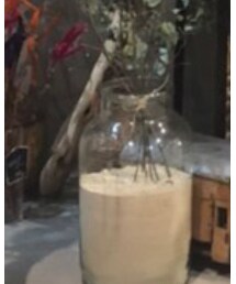 Champion | Tシャツ/カットソー