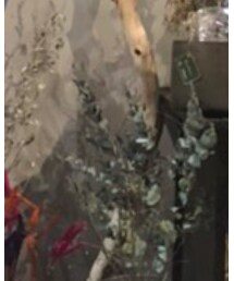 PORTER CLASSIC | ブレスレット