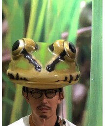 殿様ガエル | 帽子