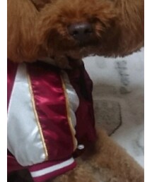 ? | その他アウター