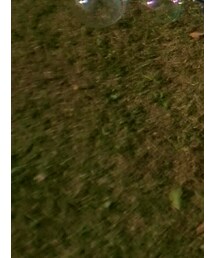 シャボン玉 | その他