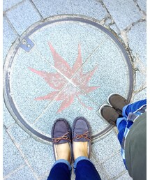 息子と私と宮島 | その他