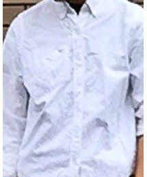 Hollister | シャツ/ブラウス