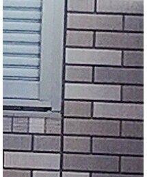 DKNY | Tシャツ/カットソー