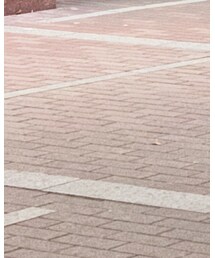 Hawkins | シューズ