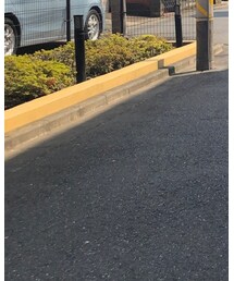 COMME des GARCONS | ベルト