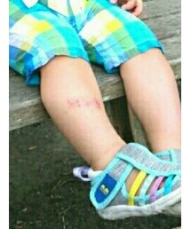 BRANSHES | その他パンツ