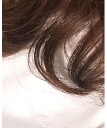 SLY | Tシャツ/カットソー