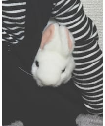 Village Vanguard | おもちゃ