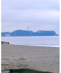 Daniel Wellington | アナログ腕時計