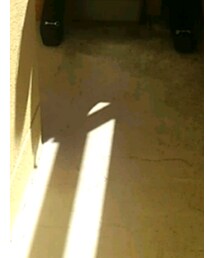 ドン・キホーテ | モカシン/デッキシューズ