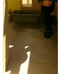 DAISO | ソックス/靴下