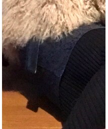 FOREVER 21 | スカート