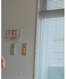 UNIQLO | トップス