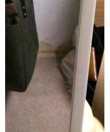 SOUTHERN FIELD INDUSTRIES | トートバッグ