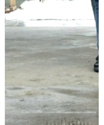 COACH | スニーカー