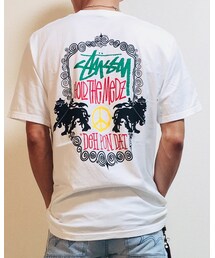 STUSSY | Tシャツ/カットソー