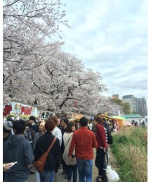 桜 | つなぎ/オールインワン