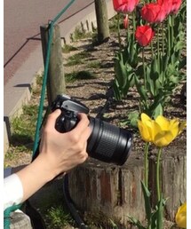 nikon | カメラ/カメラグッズ