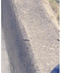 不明 | サングラス