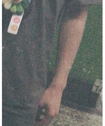 HANES | Tシャツ/カットソー