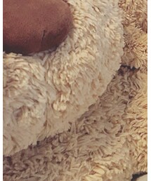 コストコ犬 | 雑貨/ホビー