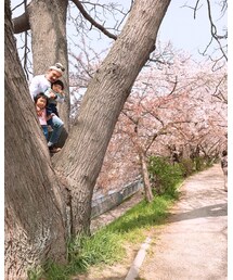 木登り万歳 | とっても立派な大木みれば登るのが礼儀‼️(その他)