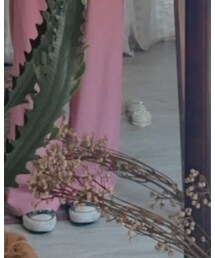 樹秧 | その他パンツ