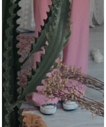 CONVERSE | その他シューズ