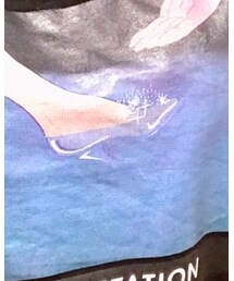 ZARA | Tシャツ/カットソー