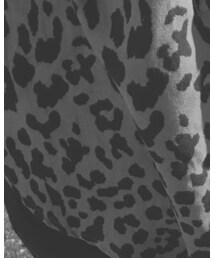 Ray BEAMS | シャツ/ブラウス