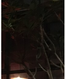 東區 | ジャケット/アウター