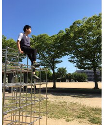公園のボス猿 | その他