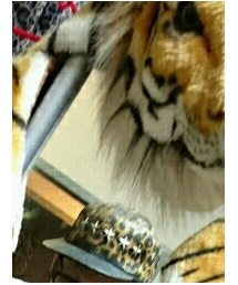 ザックバルガス | キャップ