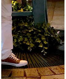 WEGO | スニーカー