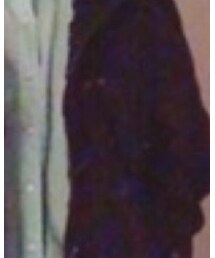 JEANS MATE | ダッフルコート