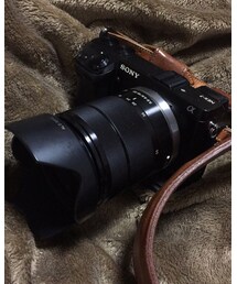 SONY NEX-7 | カメラ/カメラグッズ