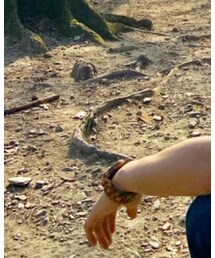 彼女からの誕プレ | アナログ腕時計