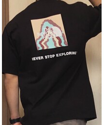 THE NORTH FACE | Tシャツ/カットソー