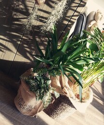 その他 | インテリア