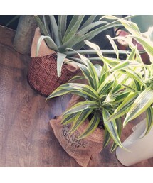 その他 | インテリア