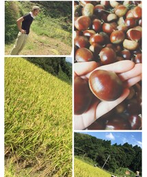 農業プレイ🌾 | その他