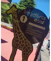 アフリカンサファリ🐘 | その他