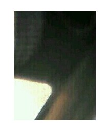 Honeys | トップス