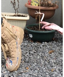 COTE MER  | ブーツ