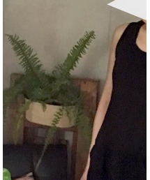 小森林 | ジャンパースカート